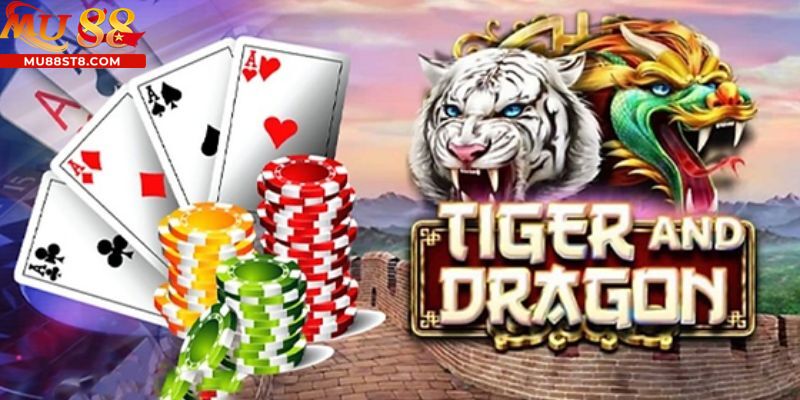 Phổ biến quy trình các bước chơi Dragon Tiger