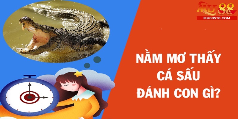 Ngủ mơ thấy cá sấu nên đánh con gì cho may mắn